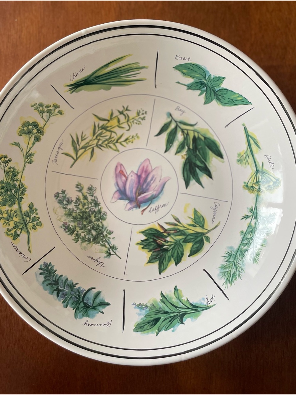 Williams Sonoma Large Pasta or Salad Serving Bowl 13" Culinary Herbs Portugal